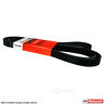 31508411333 Jk6-966-a Motorcraft Serpentine Belt Fits Ford Mustang