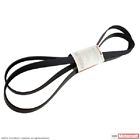 Jk8-1202-a Motorcraft Drive Belt Idler Ribbed Ribs Circumference