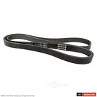 Jk8-1230 Motorcraft Serpentine Belt Fits Ford