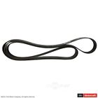 Jk8-1311 Motorcraft Serpentine Belt Fits Ford Super Duty