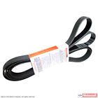 Jk8-1337b Motorcraft Serpentine Belt Fits Ford Lcf