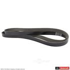 Jk8-897 Motorcraft Serpentine Belt Fits Ford