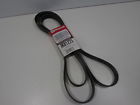 31508404885 Jk81225 Motorcraft Belt