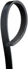 K040245sf Gates Serpentine Oe Stretch Fit Belt