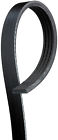 K040337sf Gates Serpentine Belt
