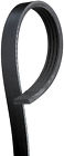 K040560 Gates New Serpentine Belt-century