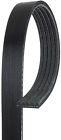 K050326 Carquest Serpentine Belt