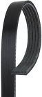31110pr7a04 K050433 Gates Century Series Premium Oe Belt Fits Toyota Camry Solara