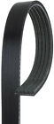 515k5mk K050516 Gates Serpentine Oe Belt