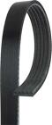 K050655 Gates New Serpentine Belt