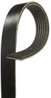 25-060827a K060827a Gates Serpentine Oe Belt