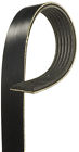 25-060834a K060834a Gates Century Series Premium Oe Belt Fits Ford Focus
