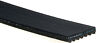 K060952 Gates Serpentine Belt