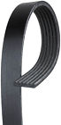 K061251hd K061251 Gates Serpentine Belt-century Series