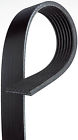 K070685 Gates Serpentine Belt