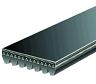 K070810 Gates Serpentine Belt