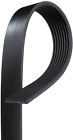 K080605hd K080605 Gates Serpentine Belt Hd