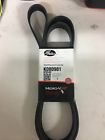 K080981 Gates Serpentine Belt