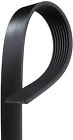 K081298 Gates Serpentine Belt