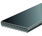 K100810hd K100810 Gates Corporation Micro-v Belt