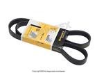 Lr003570 Contitech Land Rover Drive Belt Year Warranty