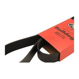 20821342 Mack Accessory Drive Belt Serpentine V