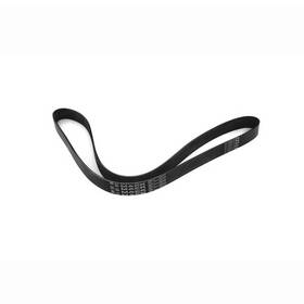 22696211 Mack Fits Serpentine Belt