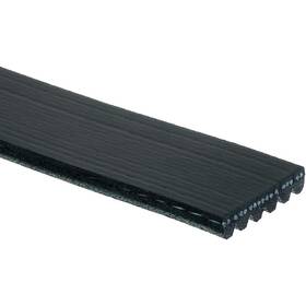 88932809.0 Marinepartsdistributors Ac6k1025a3 Serpentine Belt 2007-2014 Ford Expedition F-150 Explorer Ranch Xl