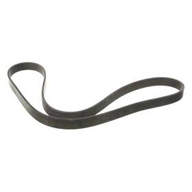 Mitsuboshi 884109899389 For Kia Sedona 2002-2003 Multi-rib Serpentine Belt