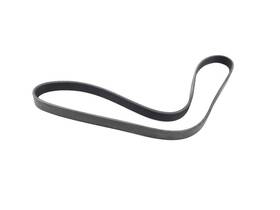 4891704aa Mopar Serpentine Belt