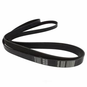 Jk6-1141 Motorcraft Serpentine Belt