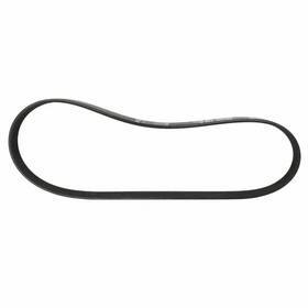 Jk6-295 Motorcraft Genuine Serpentine Belt