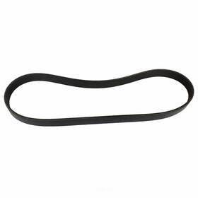 Jk6-342-b Motorcraft Serpentine Belt Fits 11-20 Ford Mustang 5.0l-v8