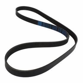 Jk6-556-b Motorcraft Serpentine Belt