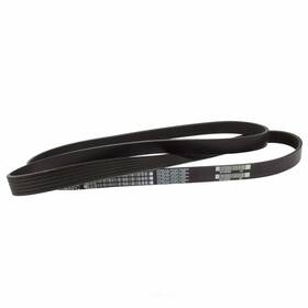 Jk6-682 Motorcraft Serpentine Belt Fits 15-23 Ford Mustang 5.0l-v8