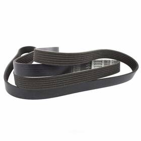 Jk6-883-b Motorcraft Serpentine Belt Fits 05-07 Ford Focus 2.0l-l4