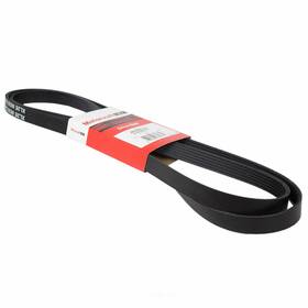 Jk6-884-ha Motorcraft Serpentine Belt-automotive V-ribbed Belt Standard