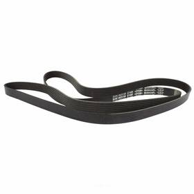 Jk6-893-a Motorcraft Serpentine Belt
