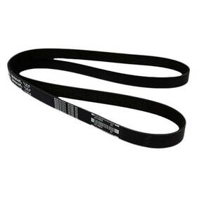 Jk6557 Motorcraft For Ford Mustang 2011 Serpentine Belt