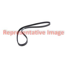 Jk6685b Motorcraft For Nissan Maxima 2010 V-belt