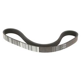 W0133-1998732-mtr Motorcraft Multi-rib Serpentine Belt