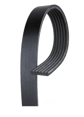 25-060448 Napa Serpentine Belt - 13/16 Inch X 45-3/8 6 Ribs. New Old Stock