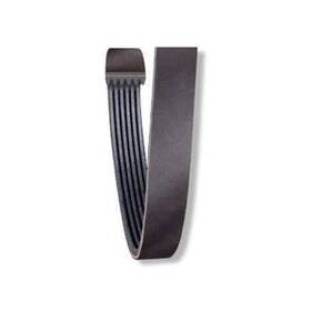 25-061031 Napa Serpentine Belt