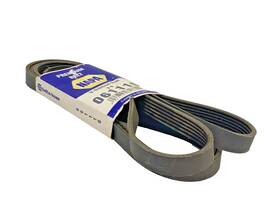 25061110 Napa V-ribbed Belt