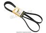Nca2211ac Contitech Jaguar Vp Xkr Drive Belt Accessory Oem