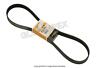 Ncc7740ad Contitech Jaguar Xjr Drive Belt Supercharger Year Warranty