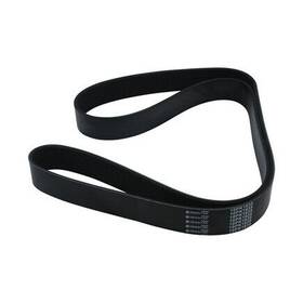 S-25556 Newstar Serpentine Belt