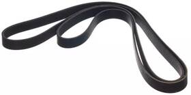 11720-1pd0a Nissan Genuine Serpentine Belt