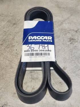 D84-1000-3081880 Paccar D84/1000 3081880 Dynacraft Serpentine Belt 212244