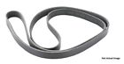 Pk040413 Contitech Crp Automotive Serpentine Belt 843266004555